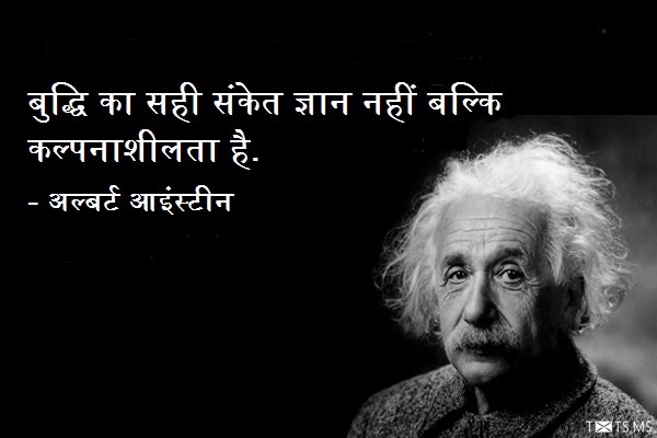 Albert Einstein Quote in Hindi