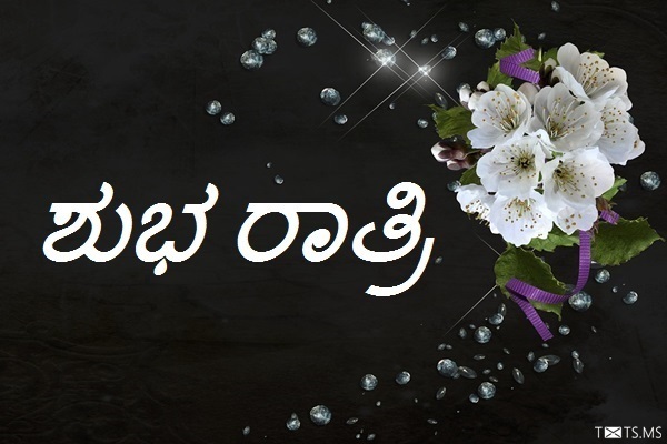 Kannada Good Night Wishes