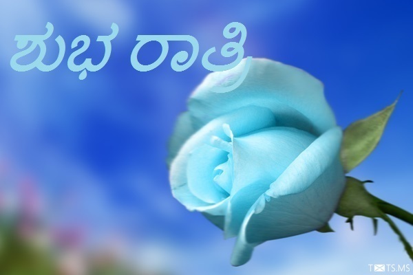 Kannada Good Night Wishes with Blue Rose Flower