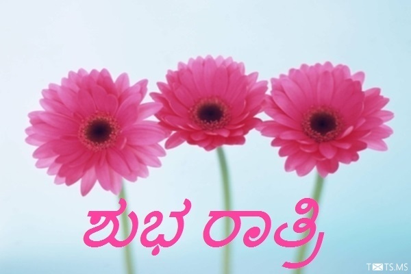 Kannada Good Night Wishes with Flowers