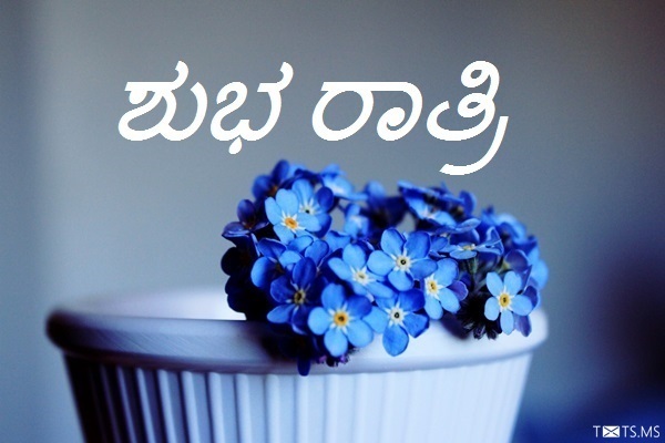 Kannada Good Night Wishes with Flowers