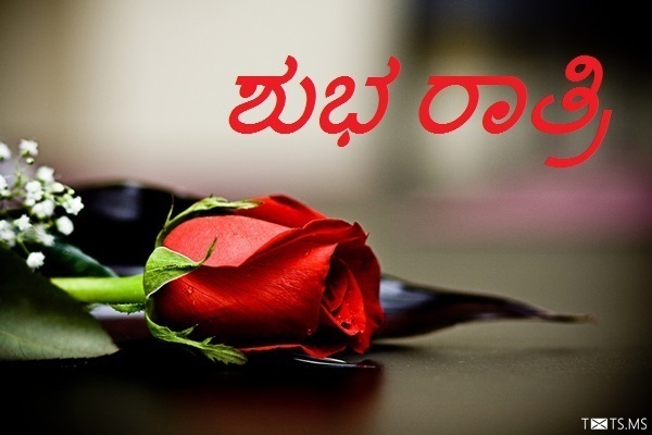 Kannada Good Night Wishes with Red Rose