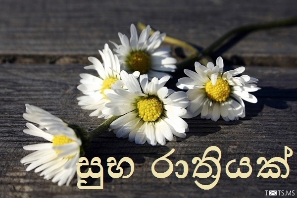 Sinhala Good Night Wishes