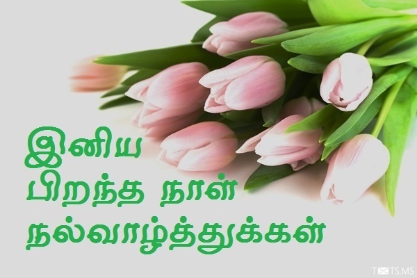 Tamil Birthday Wishes with Beautiful Flowers