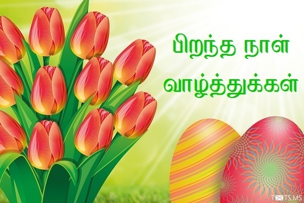 Tamil Birthday Wishes