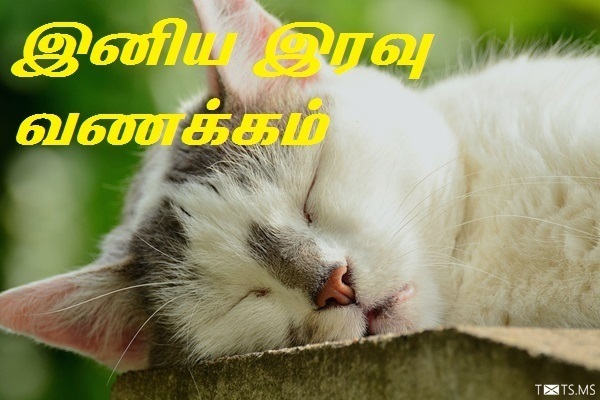 Tamil Good Night Wishes