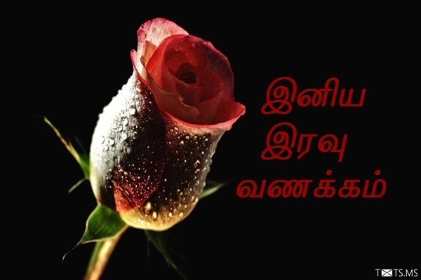 Tamil Good Night Wishes with Flowers
