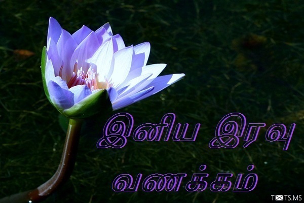 Tamil Good Night Wishes with Flowers