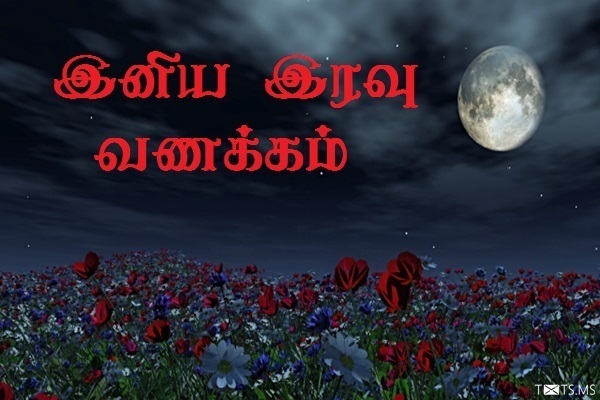 Tamil Good Night Wishes with Moon and Flowers