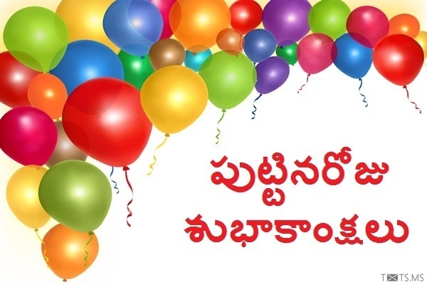 Telugu Birthday Wishes with Balloons
