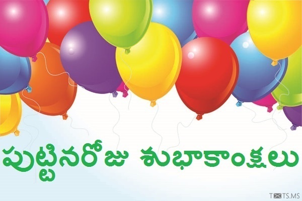 Telugu Birthday Wishes with Beautifully Colored Balloons