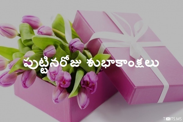 Telugu Birthday Wishes with Flowers