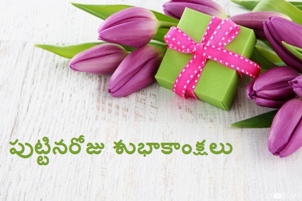 Telugu Birthday Wishes with Flowers