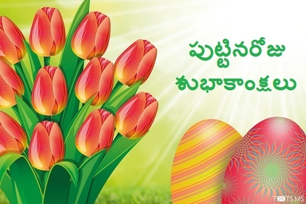 Telugu Birthday Wishes