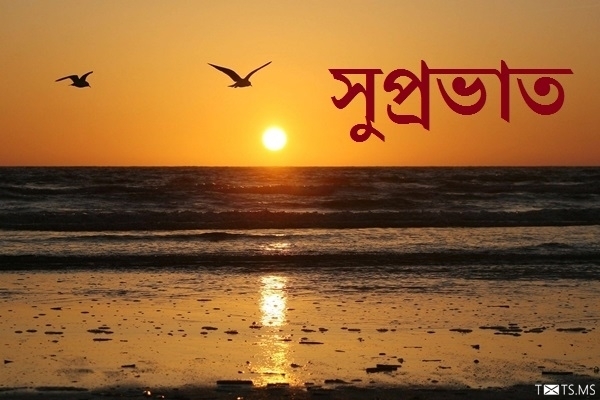 Bengali Good Morning Wishes