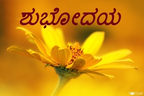 Kannada Good Morning Wishes with Yellow Flower