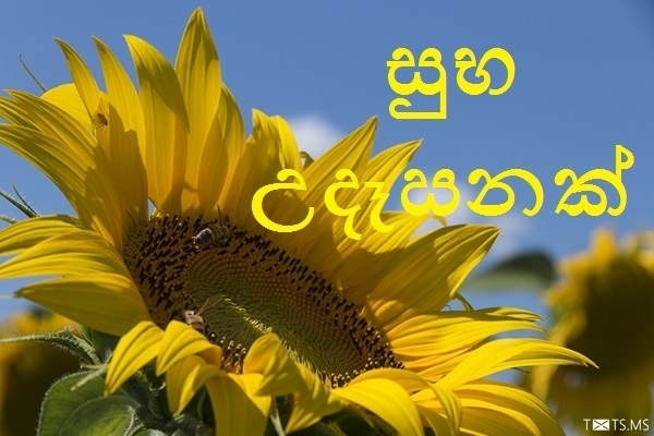 Sinhala Good Morning Wishes