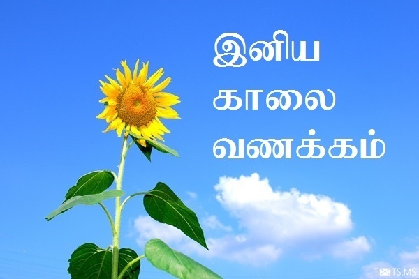 Tamil Good Morning Wishes with Sunflower