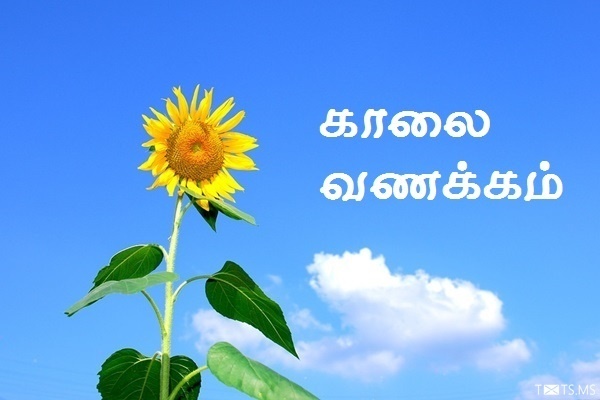 Tamil Good Morning Wishes with Sunflower