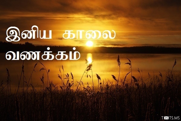 Tamil Good Morning Wishes with Sunrise