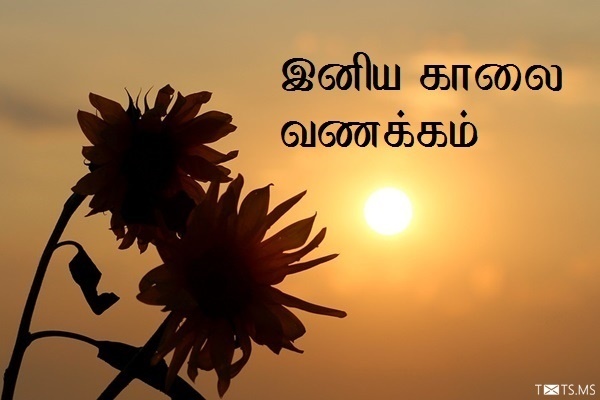 Tamil Good Morning Wishes with Flower and Sun
