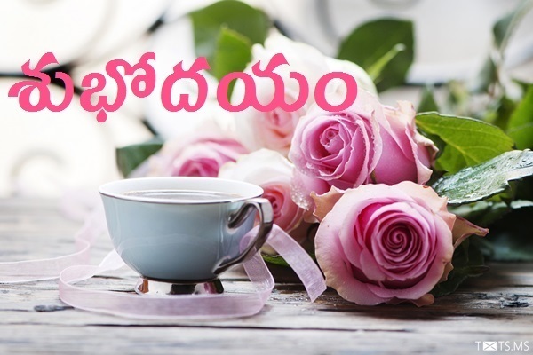 Telugu Good Morning Wishes with Roses