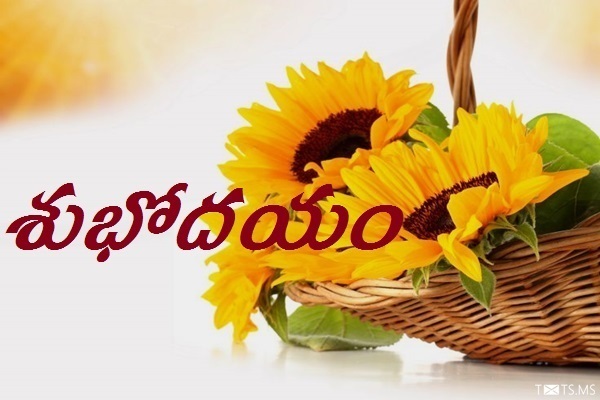 Telugu Good Morning Wishes with Sunflowers