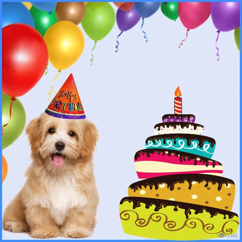 Birthday Wishes for Dog