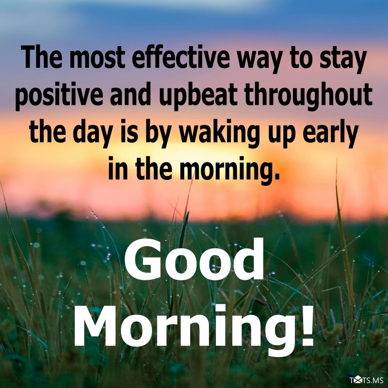 Good Morning Wishes