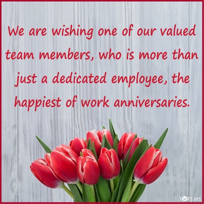 Work Anniversary Message for Employees