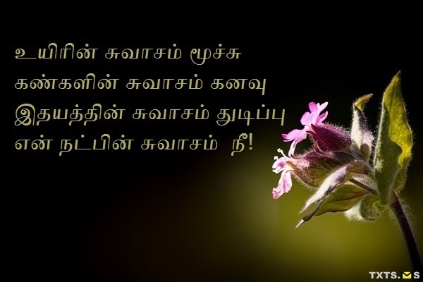 Natpu Kavithai