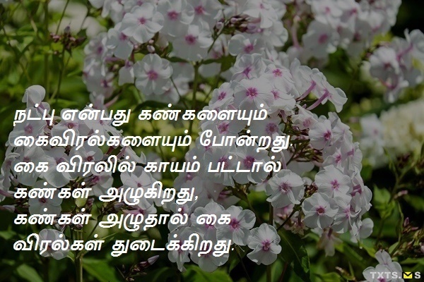 Natpu Kavithai