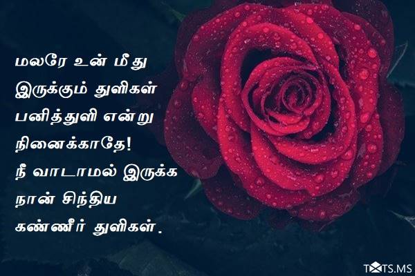 Tamil Kavithai